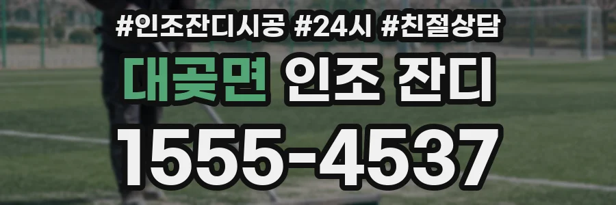 대곶면 인조 잔디
