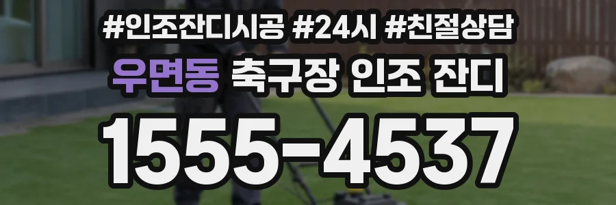 우면동 축구장 인조 잔디
