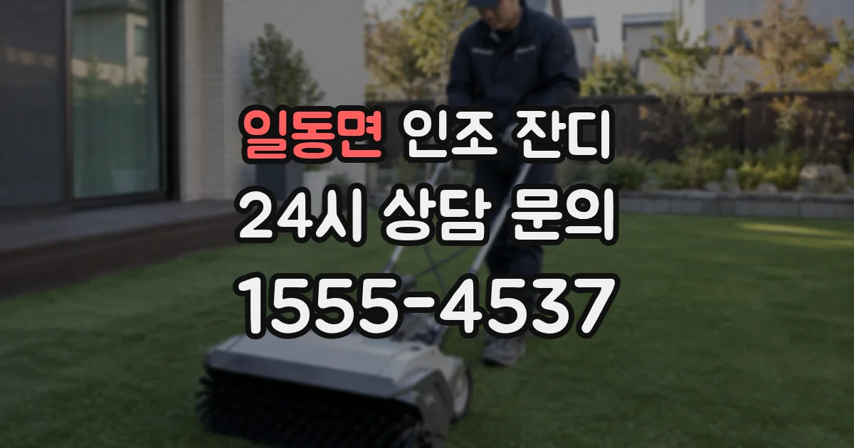 일동면 인조 잔디
