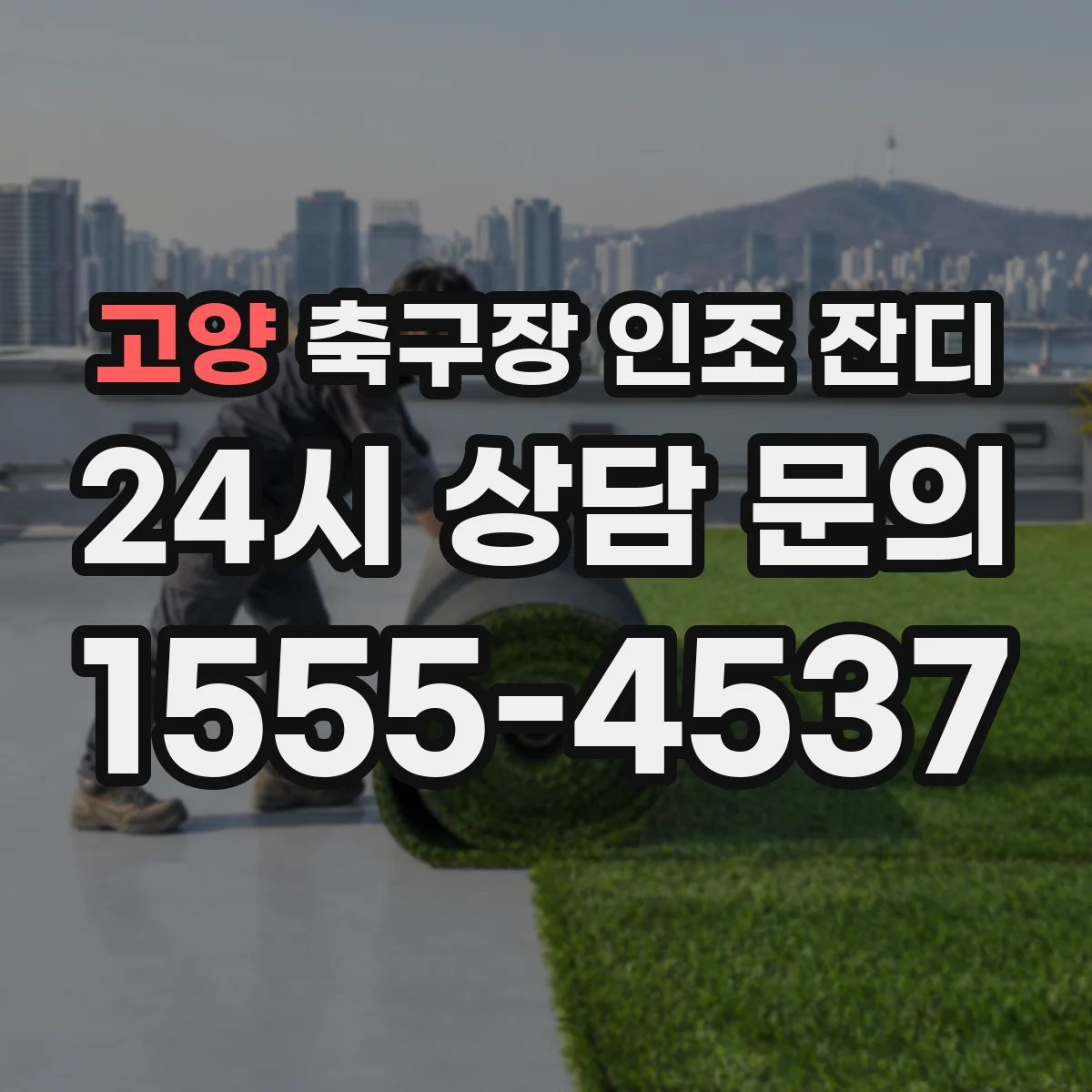 고양 축구장 인조 잔디