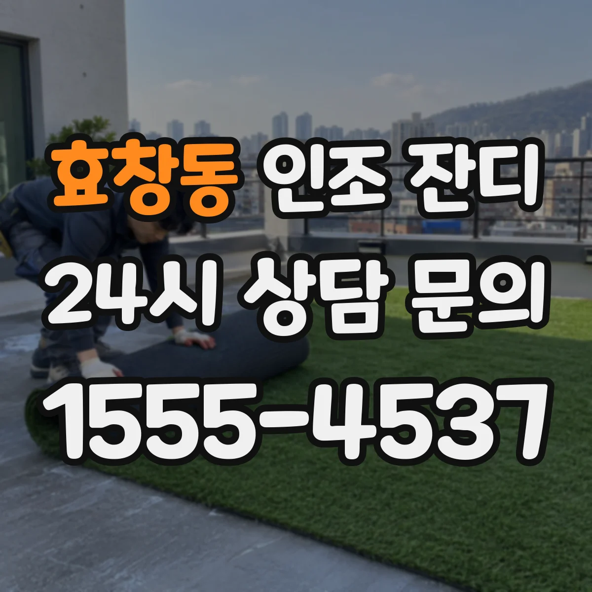 효창동 인조 잔디