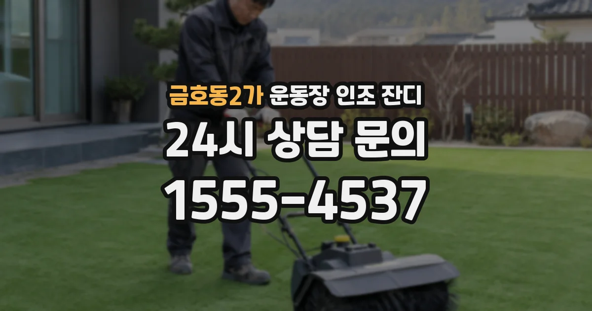 금호동2가 운동장 인조 잔디