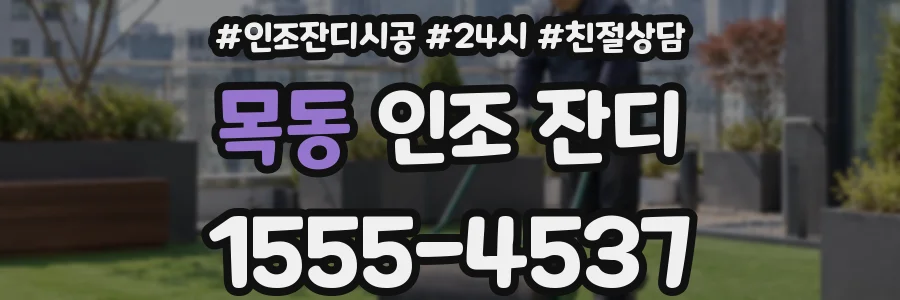 목동 인조 잔디