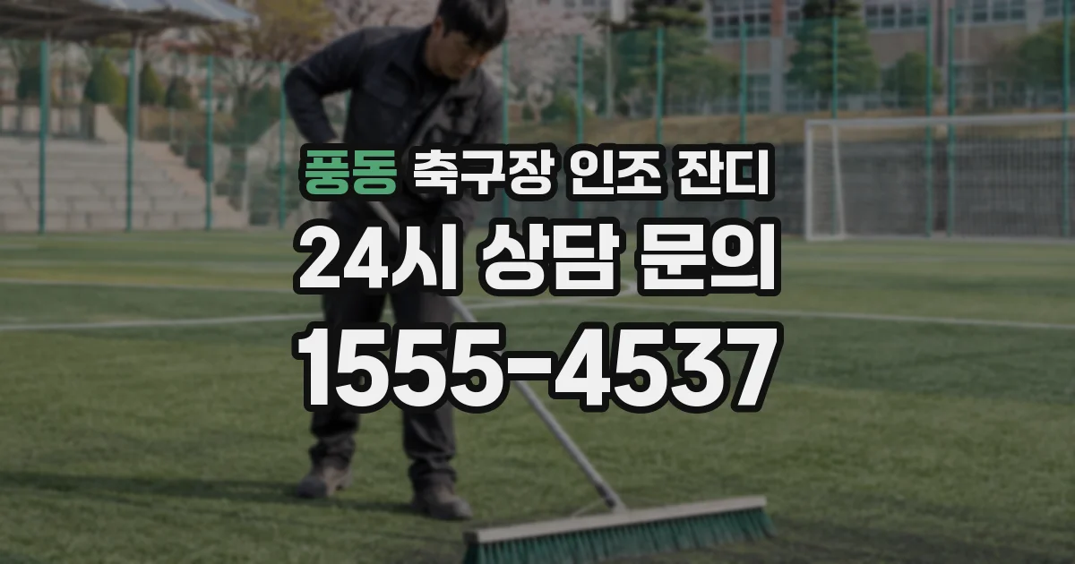풍동 축구장 인조 잔디