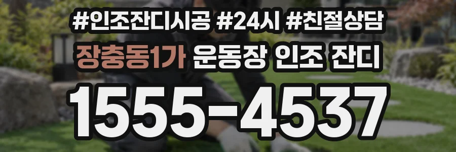 장충동1가 운동장 인조 잔디