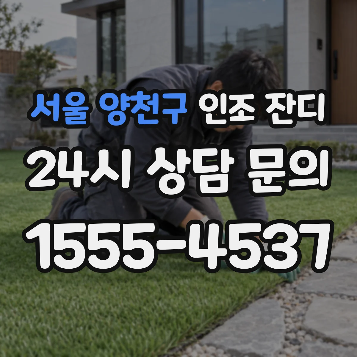 서울 양천구 인조 잔디