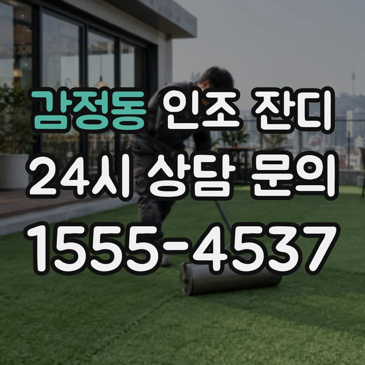 감정동 인조 잔디