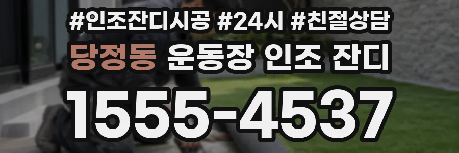 당정동 운동장 인조 잔디