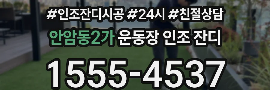 안암동2가 운동장 인조 잔디