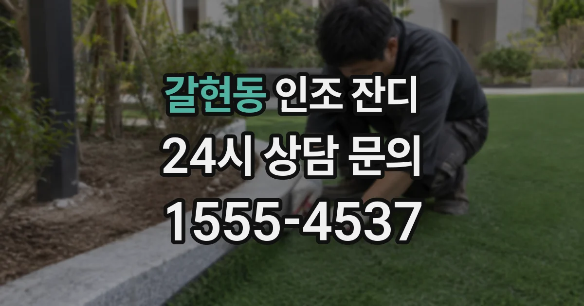 갈현동 인조 잔디