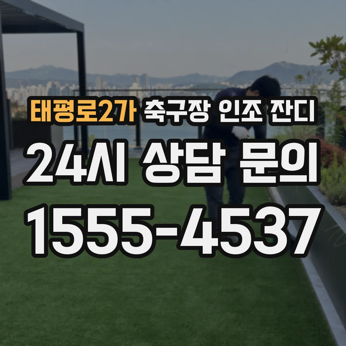 태평로2가 축구장 인조 잔디