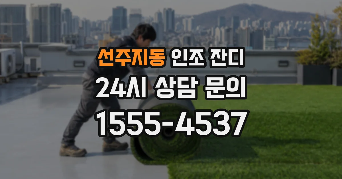 선주지동 인조 잔디