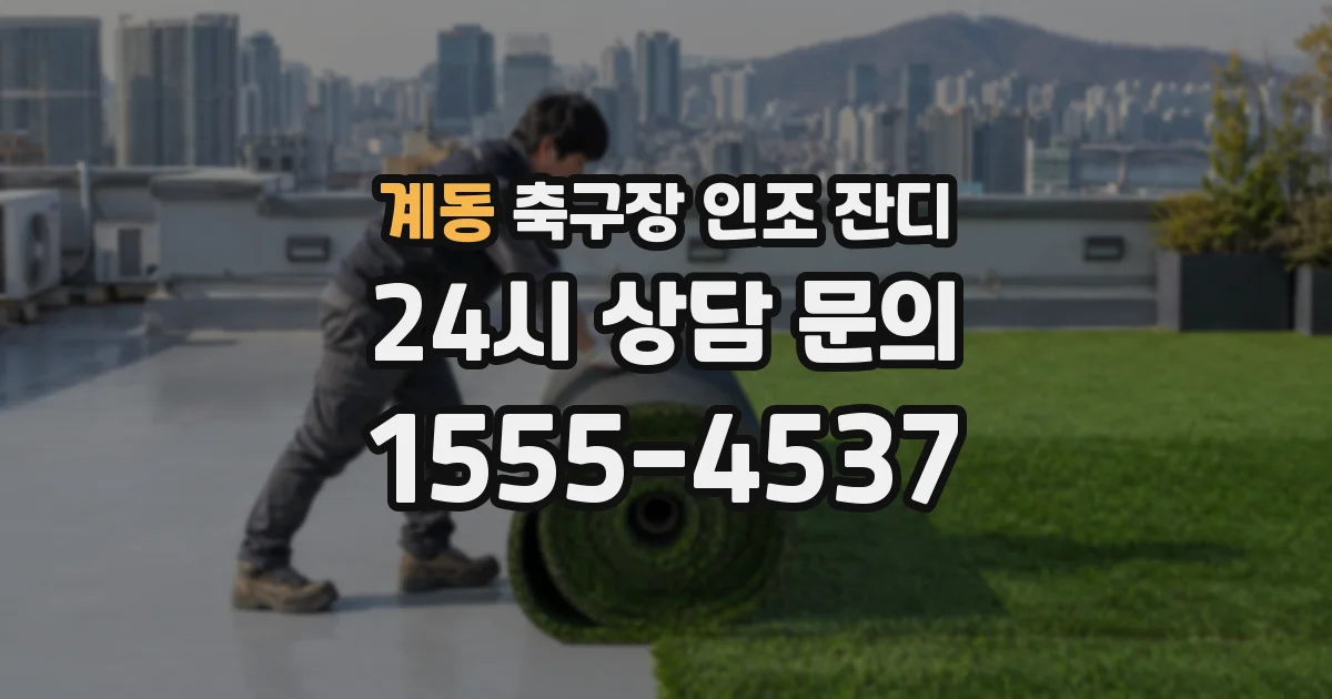 계동 축구장 인조 잔디