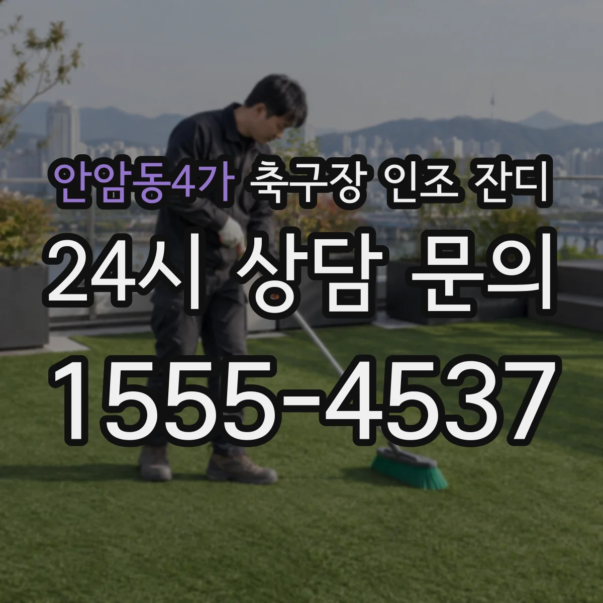 안암동4가 축구장 인조 잔디