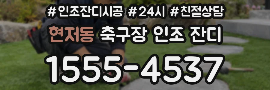현저동 축구장 인조 잔디