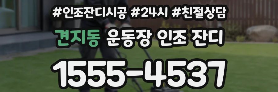 견지동 운동장 인조 잔디