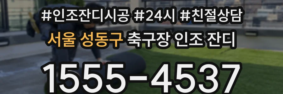 서울 성동구 축구장 인조 잔디