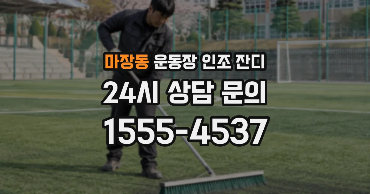 마장동 운동장 인조 잔디