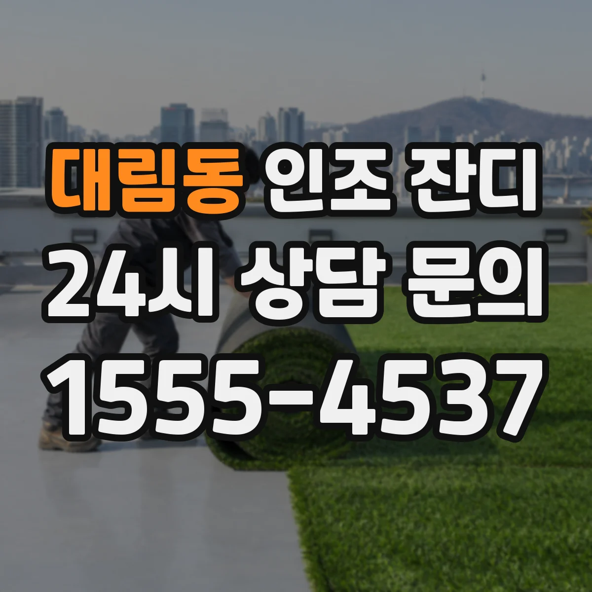 대림동 인조 잔디
