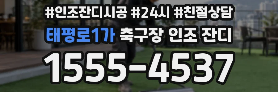 태평로1가 축구장 인조 잔디