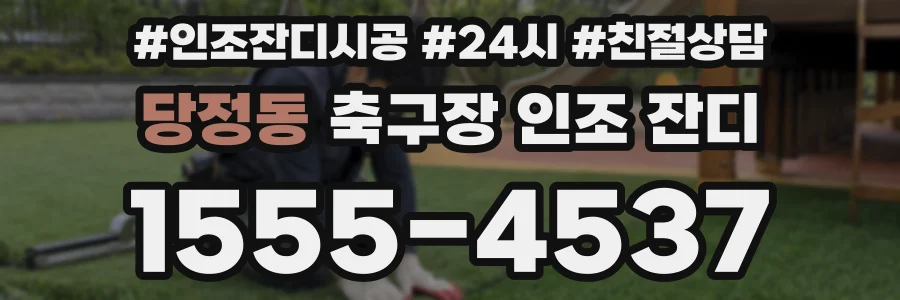 당정동 축구장 인조 잔디
