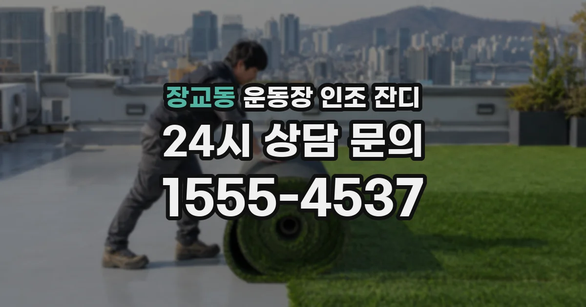 장교동 운동장 인조 잔디