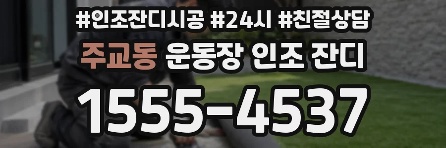 주교동 운동장 인조 잔디