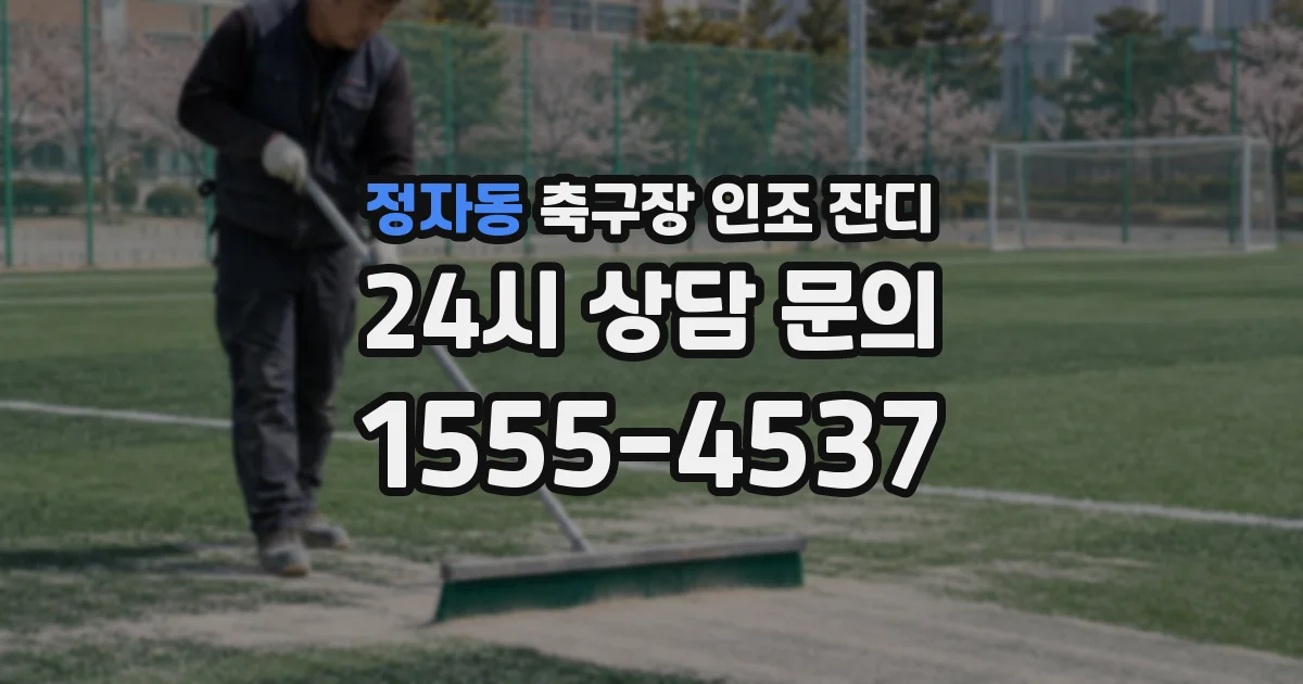 정자동 축구장 인조 잔디
