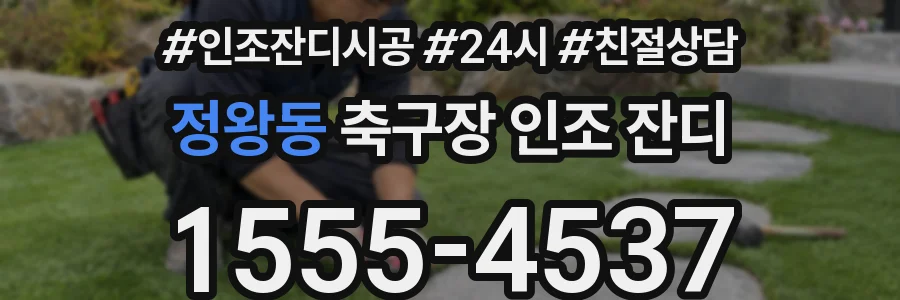 정왕동 축구장 인조 잔디