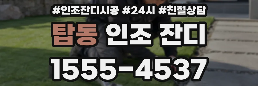 탑동 인조 잔디