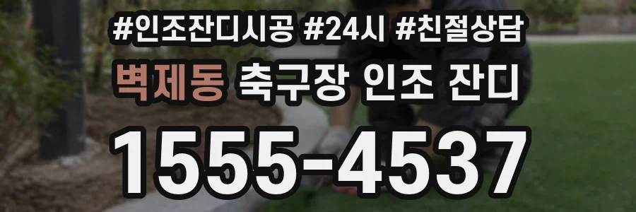 벽제동 축구장 인조 잔디