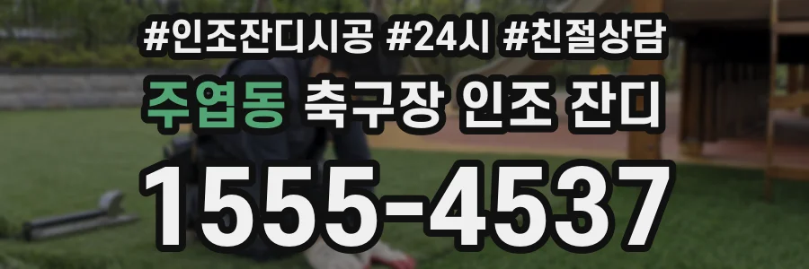 주엽동 축구장 인조 잔디