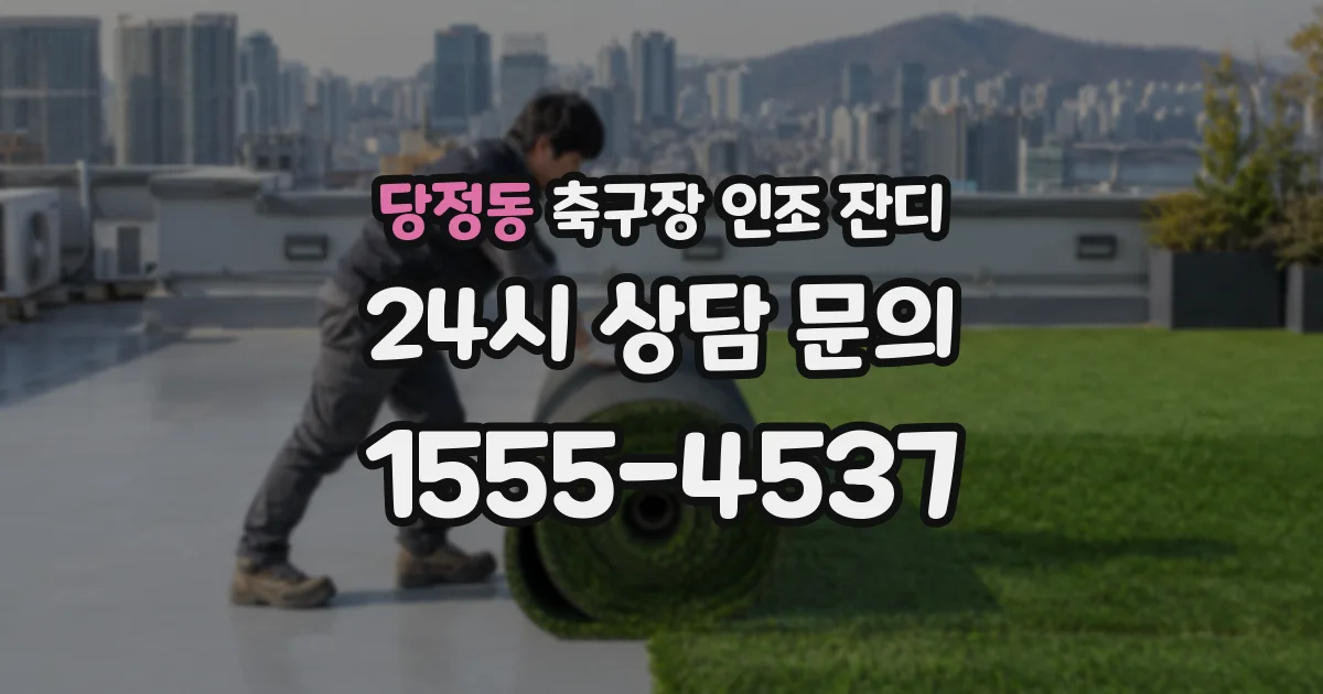 당정동 축구장 인조 잔디