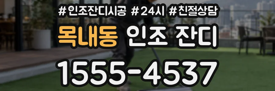 목내동 인조 잔디