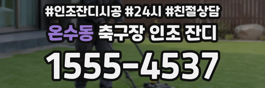 온수동 축구장 인조 잔디