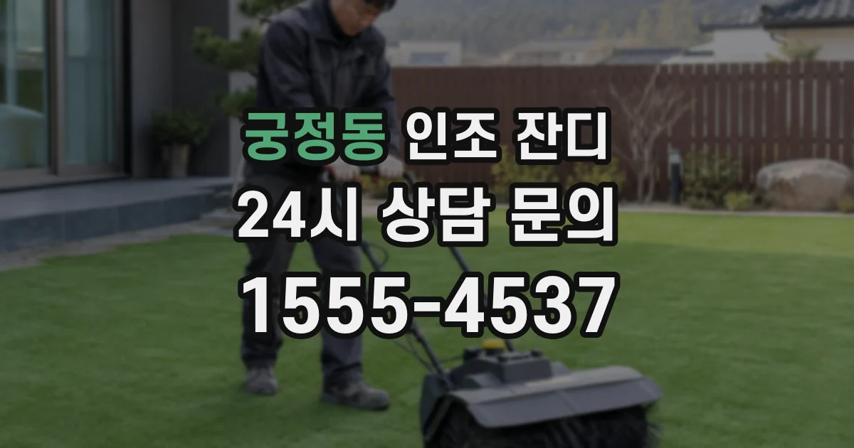 궁정동 인조 잔디