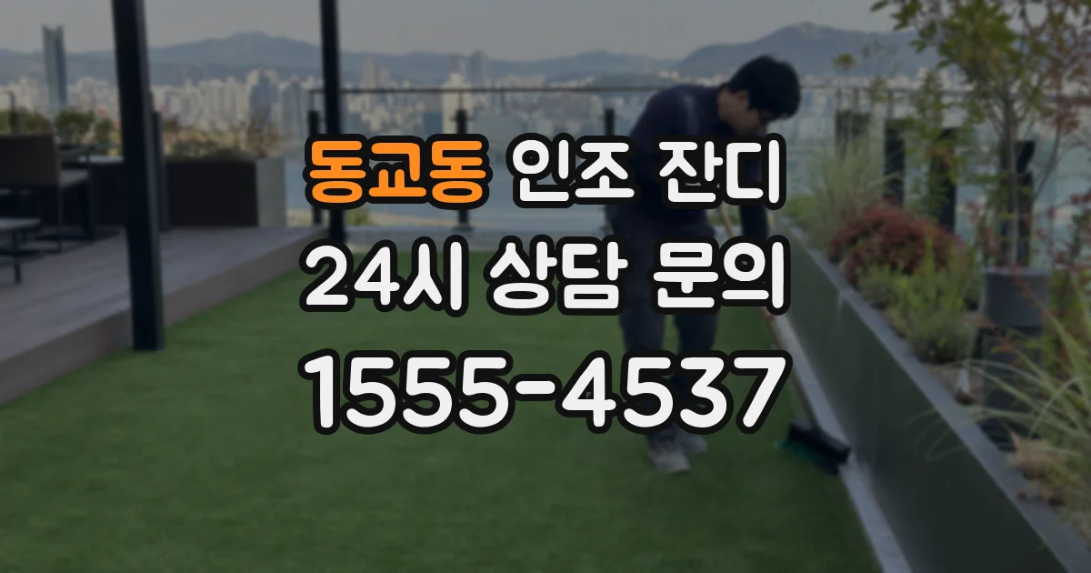 동교동 인조 잔디