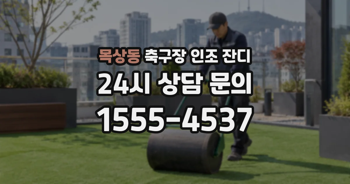 목상동 축구장 인조 잔디