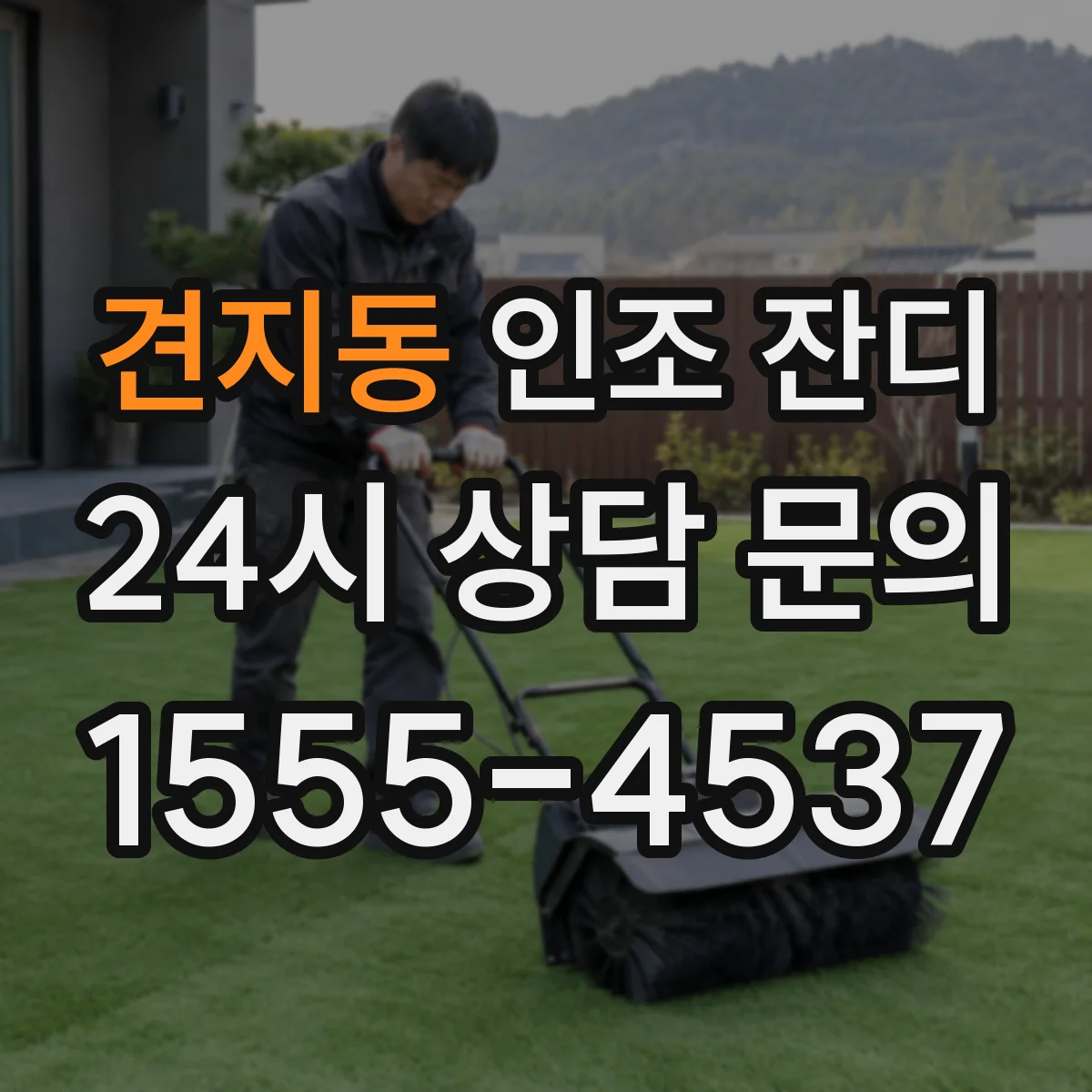 견지동 인조 잔디