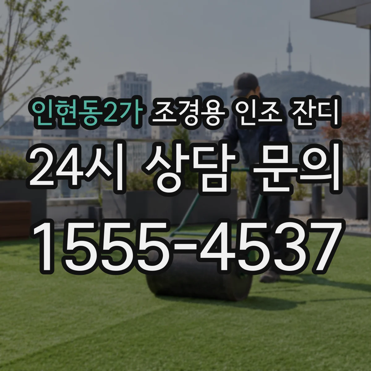 인현동2가 조경용 인조 잔디