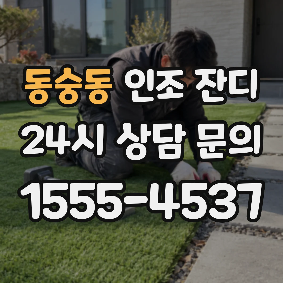 동숭동 인조 잔디