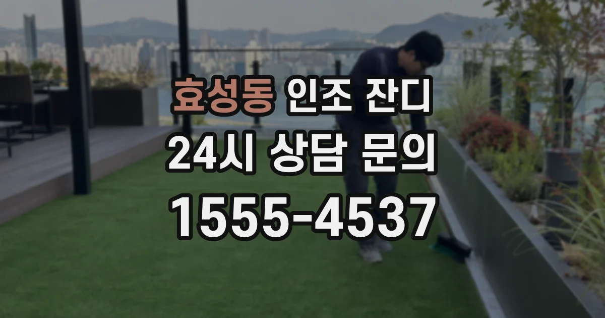효성동 인조 잔디