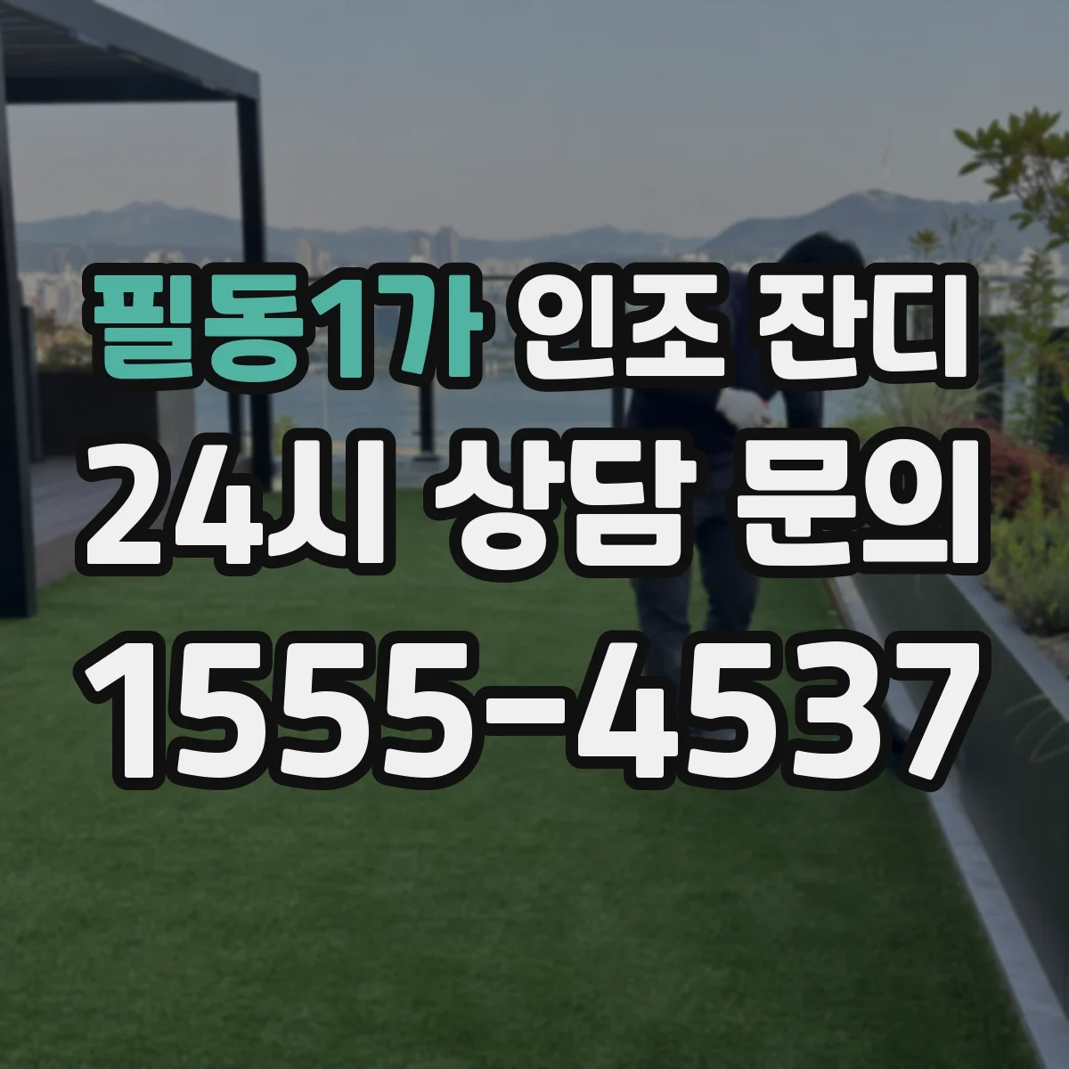 필동1가 인조 잔디