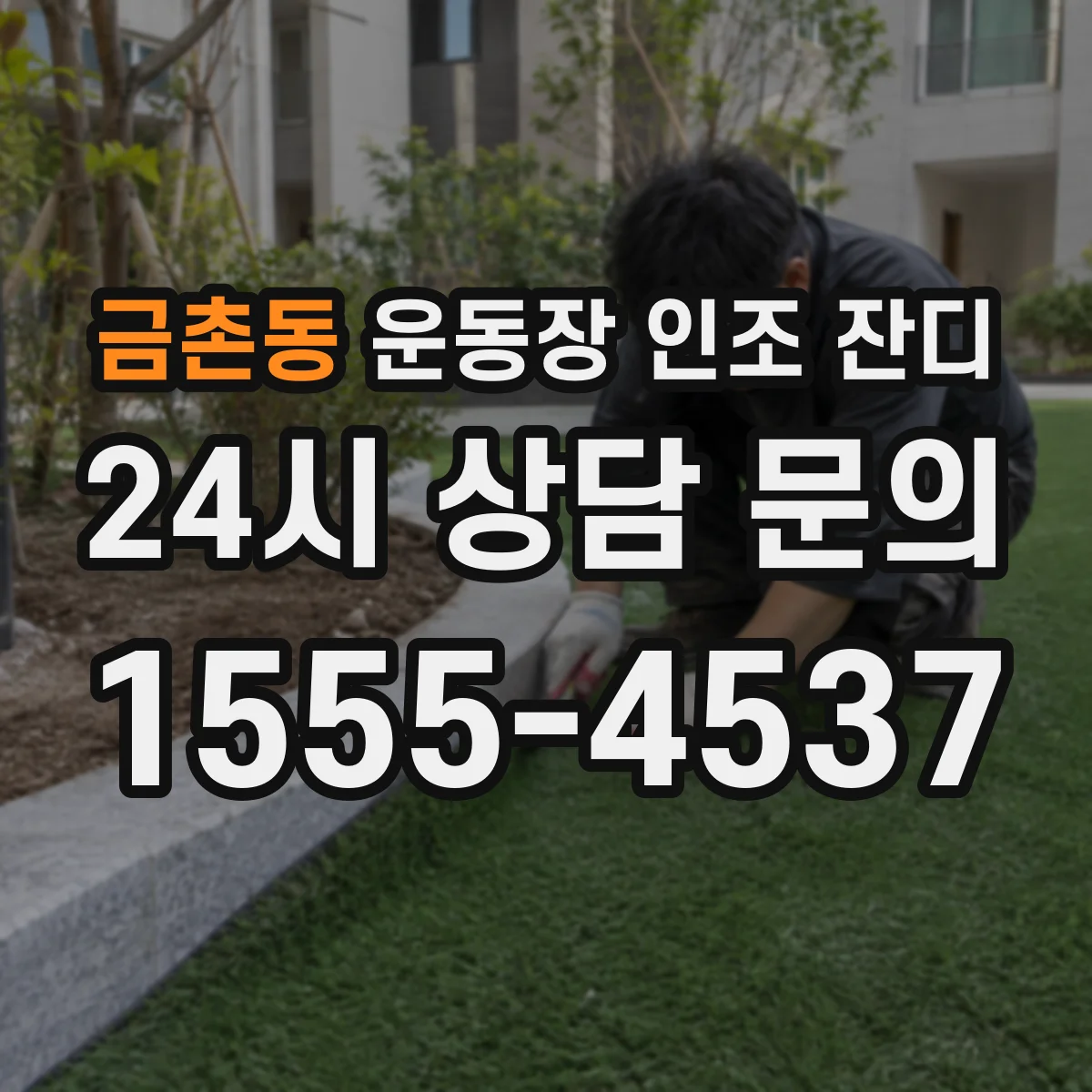 금촌동 운동장 인조 잔디