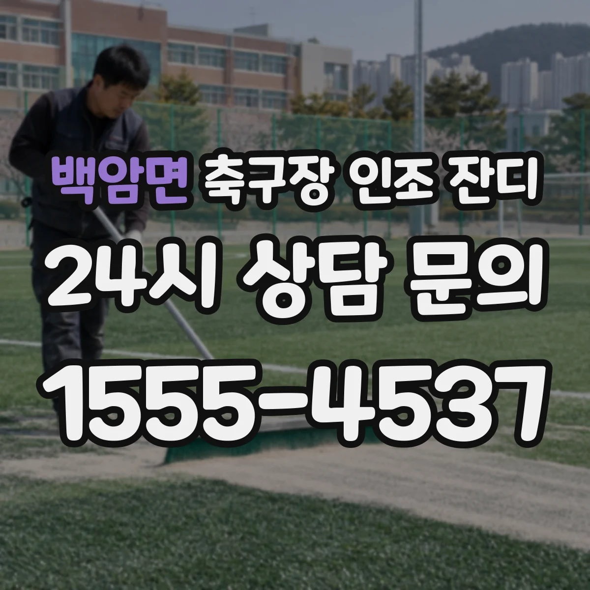 백암면 축구장 인조 잔디