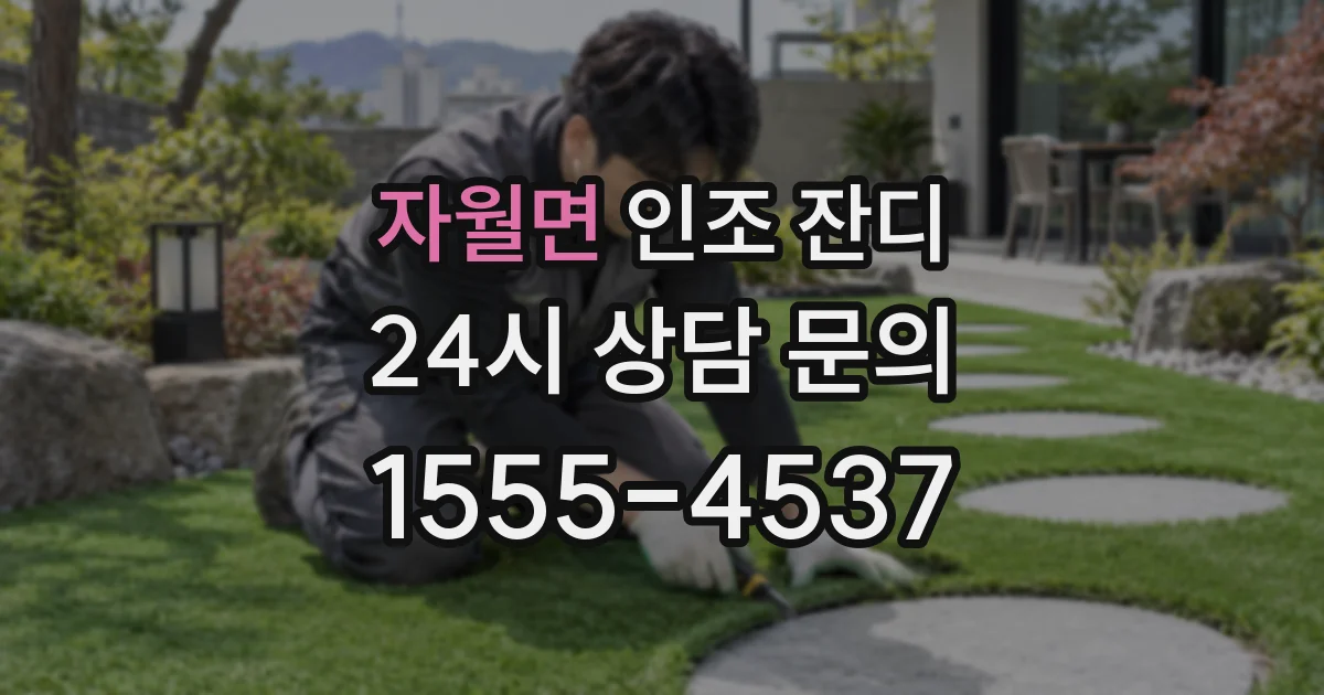 자월면 인조 잔디