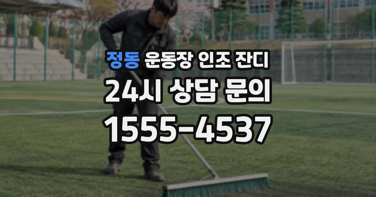 정동 운동장 인조 잔디