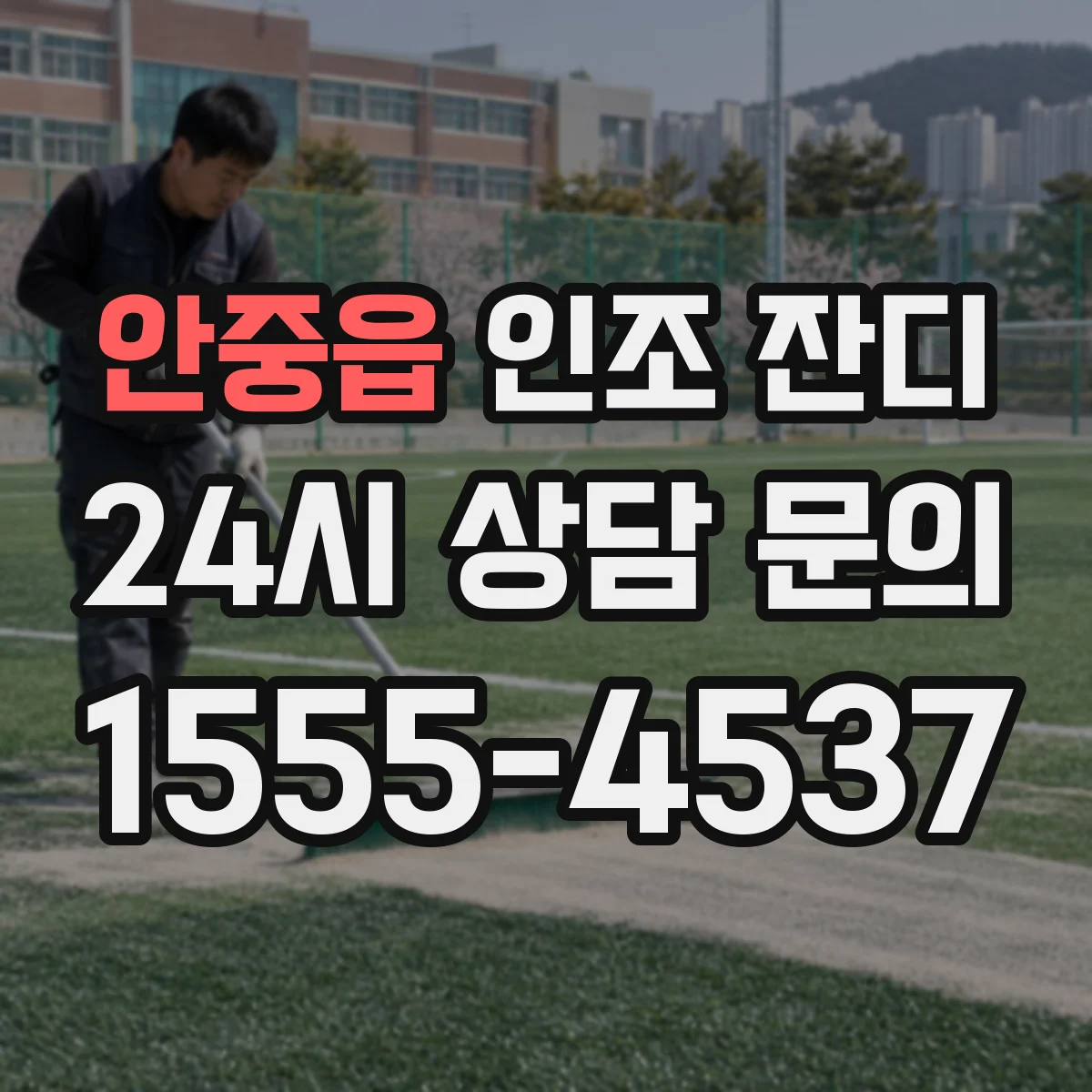 안중읍 인조 잔디