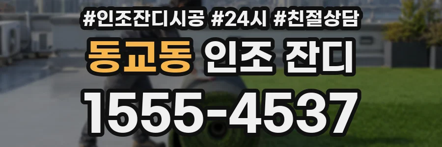 동교동 인조 잔디