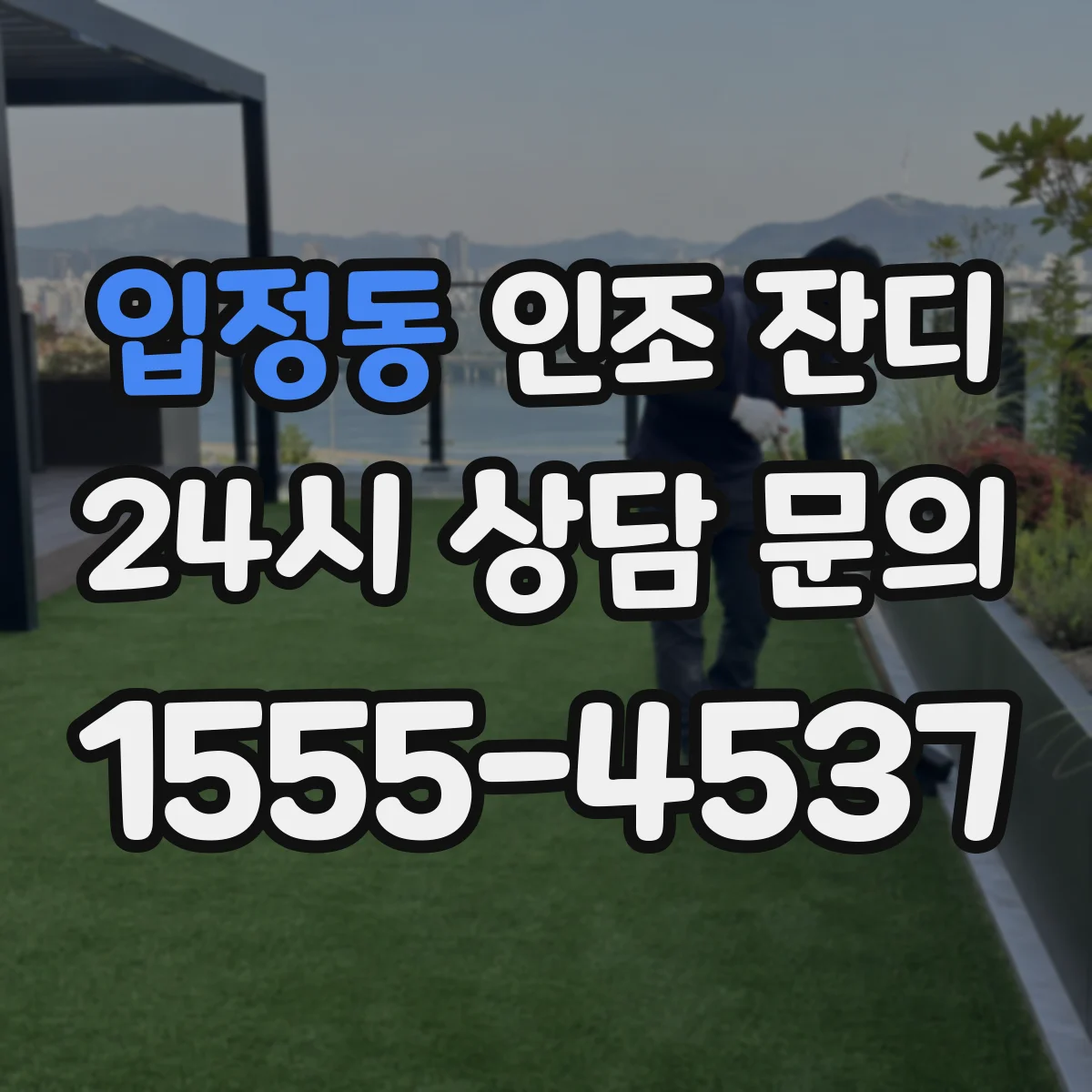 입정동 인조 잔디